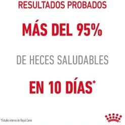 Royal Canin Digestive Sensitive sobre para gatos Sale