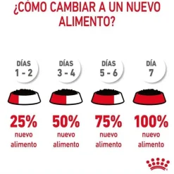 Royal Canin Digestive Sensitive sobre para gatos Sale