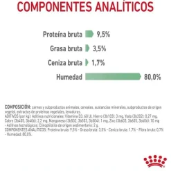 Royal Canin Digestive Sensitive sobre para gatos Sale