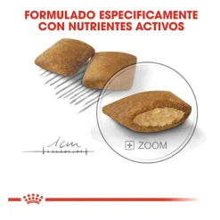 Royal Canin Exigent Mini pienso para perros Online