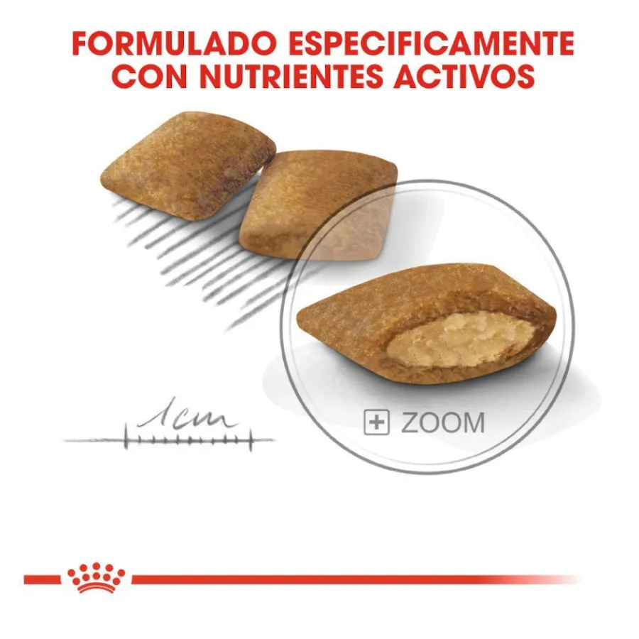 Royal Canin Exigent Mini pienso para perros Online