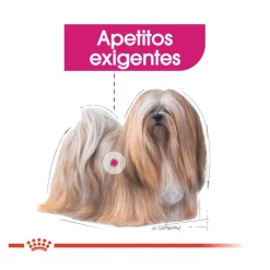 Royal Canin Exigent Mini pienso para perros Online