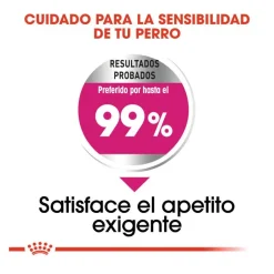Royal Canin Exigent Mini pienso para perros Online