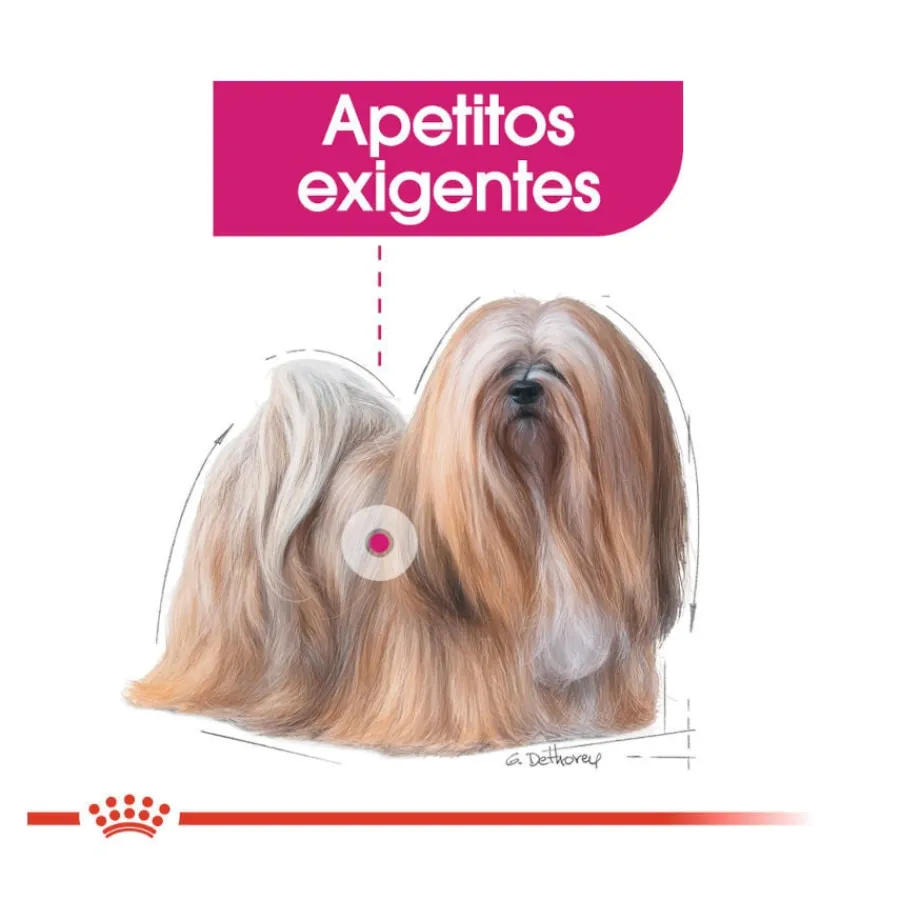 Royal Canin Exigent paté sobre para perros Clearance