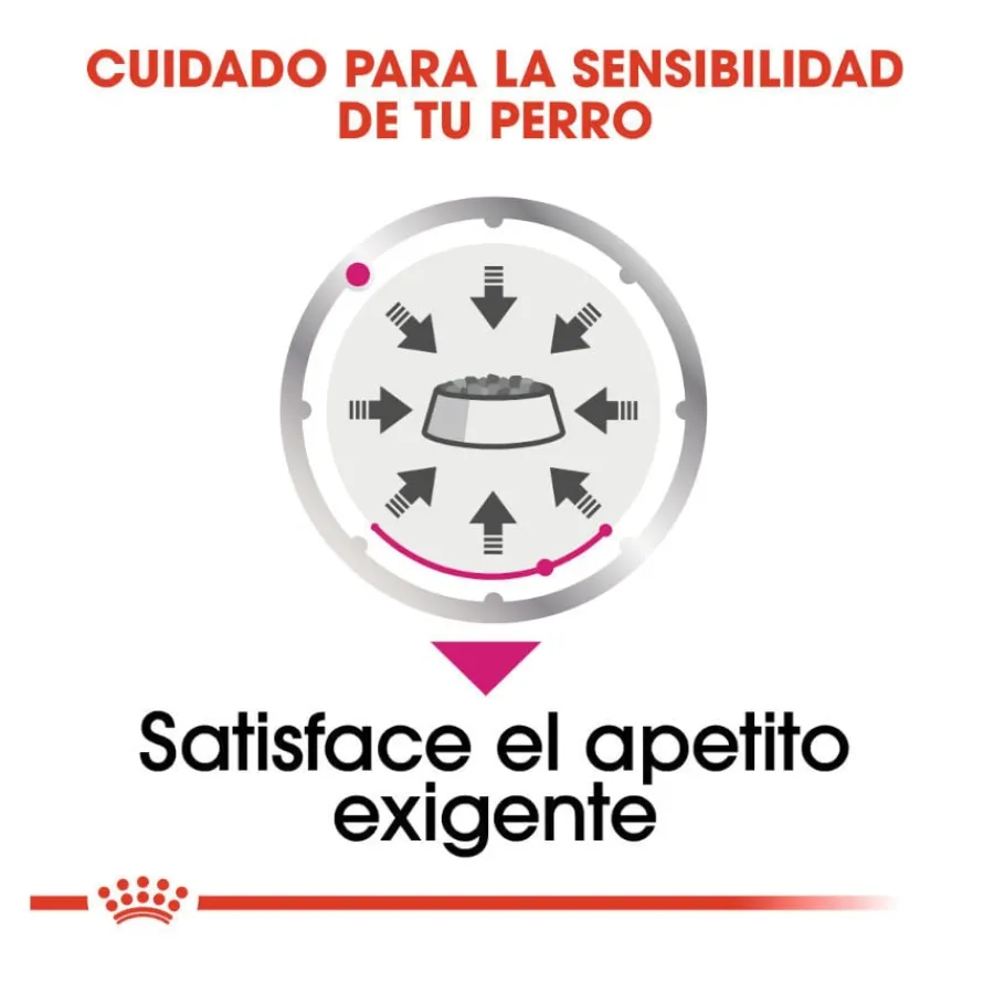 Royal Canin Exigent paté sobre para perros Clearance