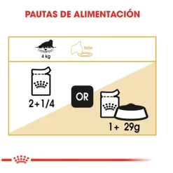 Royal Canin Feline Persian Adult sobres para gatos