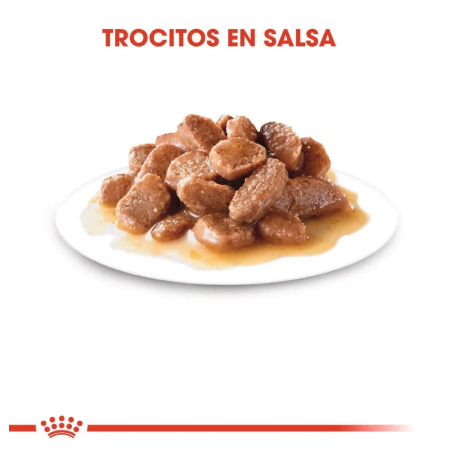 Royal Canin Feline Sterilised Salsa sobres para gato Clearance