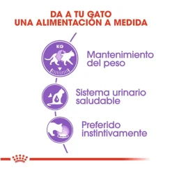 Royal Canin Feline Sterilised Salsa sobres para gato Clearance