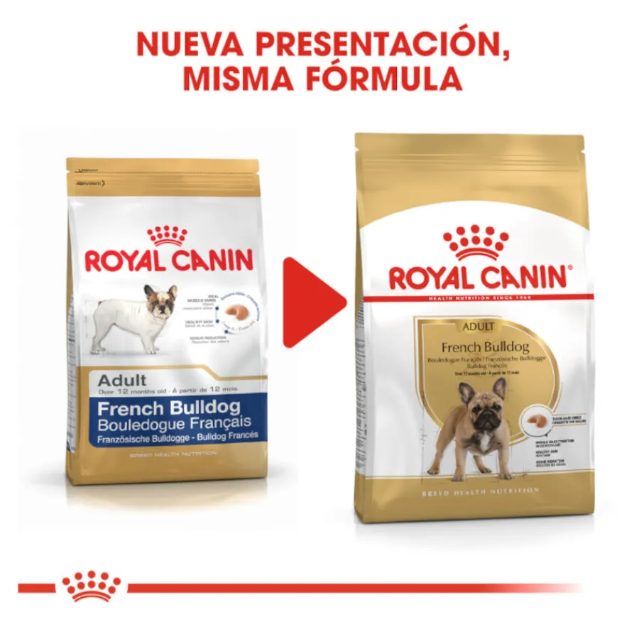 Royal Canin French Bulldog Adult pienso para perros Outlet
