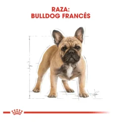 Royal Canin French Bulldog Adult pienso para perros Outlet