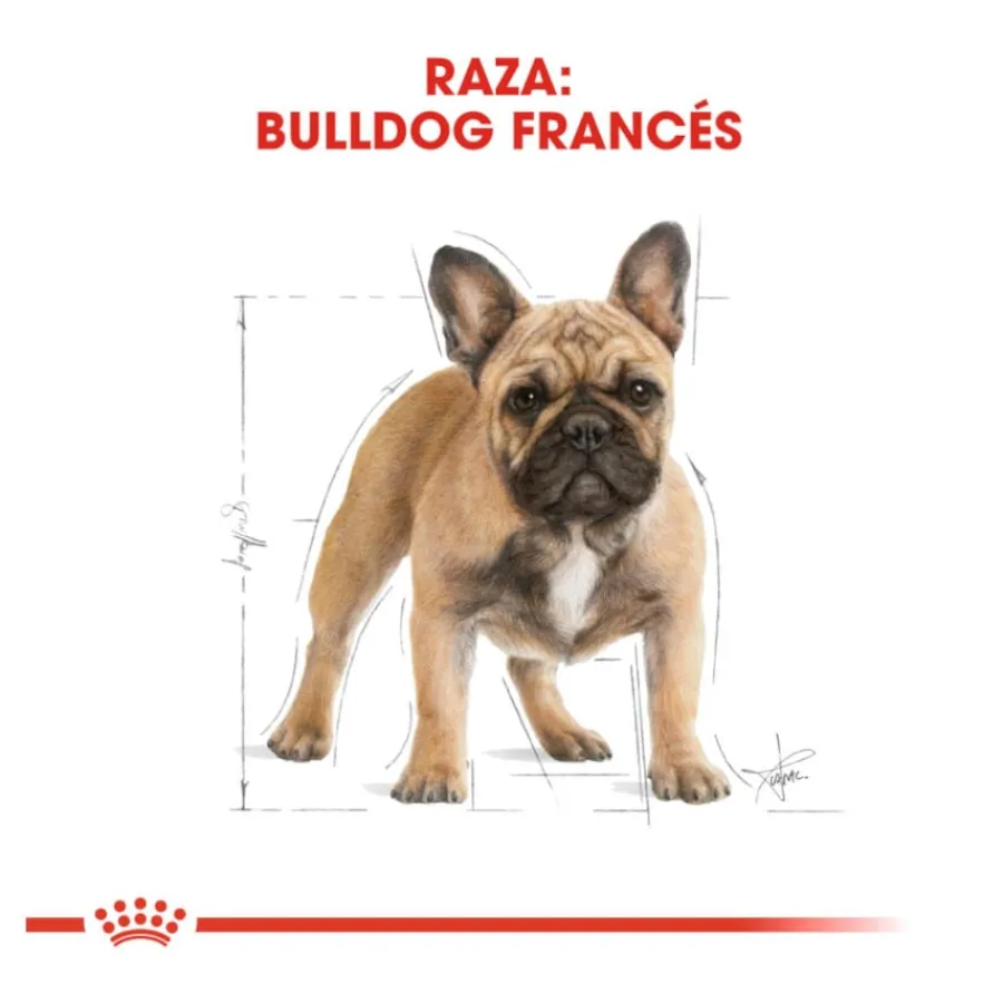 Royal Canin French Bulldog Adult pienso para perros Outlet