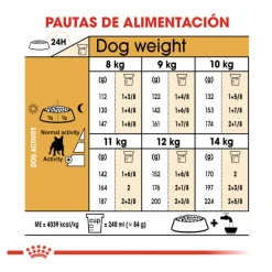 Royal Canin French Bulldog Adult pienso para perros Outlet
