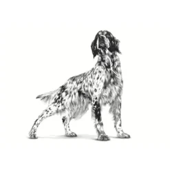 Royal Canin Gastrointestinal Low Fat lata para perros Online