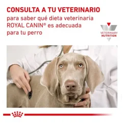 Royal Canin Gastrointestinal Low Fat lata para perros Online