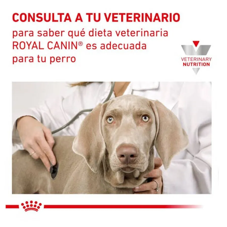 Royal Canin Gastrointestinal Low Fat lata para perros Online