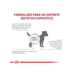 Royal Canin GastroIntestinal Low Fat pienso para perros pequeños New