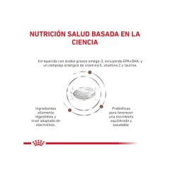 Royal Canin GastroIntestinal Low Fat pienso para perros pequeños New