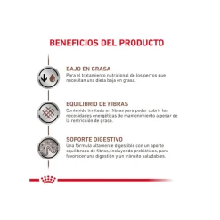 Royal Canin GastroIntestinal Low Fat pienso para perros pequeños New
