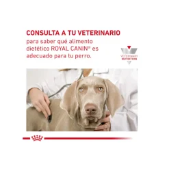 Royal Canin GastroIntestinal Low Fat pienso para perros pequeños New