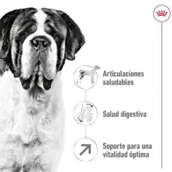 Royal Canin Giant Adult pienso para perros Hot