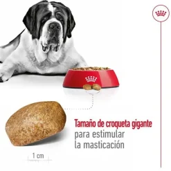 Royal Canin Giant Adult pienso para perros Hot