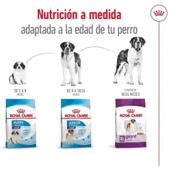 Royal Canin Giant Adult pienso para perros Hot