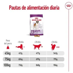 Royal Canin Giant Adult pienso para perros Hot