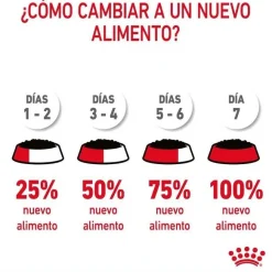 Royal Canin Hair and Skin sobre en salsa para gatos Sale