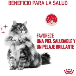 Royal Canin Hair and Skin sobre en salsa para gatos Sale