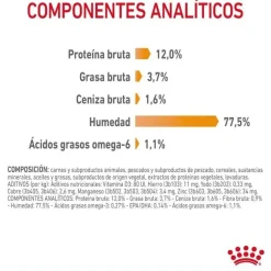 Royal Canin Hair and Skin sobre en salsa para gatos Sale