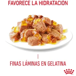 Royal Canin Hairball Care Sobre en Gelatina para gatos Hot