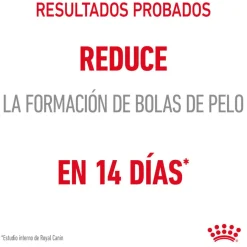 Royal Canin Hairball Care Sobre en Gelatina para gatos Hot