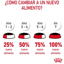 Royal Canin Hairball Care Sobre en Gelatina para gatos Hot