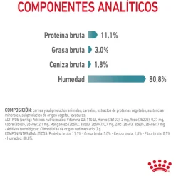 Royal Canin Hairball Care Sobre en Gelatina para gatos Hot