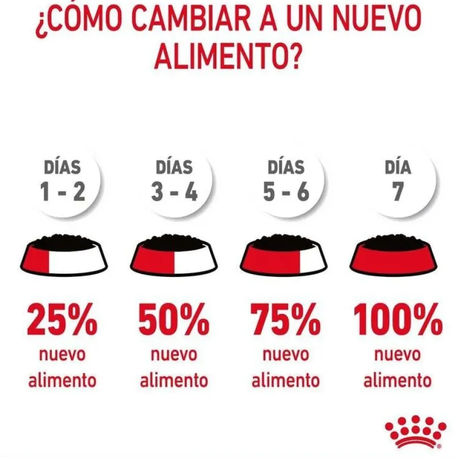 Royal Canin Hairball sobre en salsa para gatos Hot