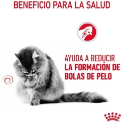 Royal Canin Hairball sobre en salsa para gatos Hot
