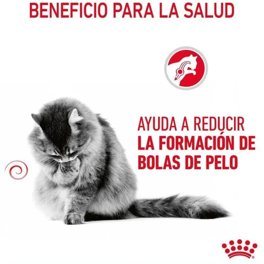 Royal Canin Hairball sobre en salsa para gatos Hot