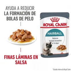 Royal Canin Hairball sobre en salsa para gatos Hot