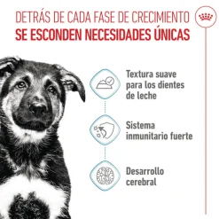Royal Canin Húmedo Maxi Puppy sobre para perros Hot