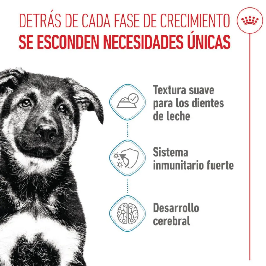 Royal Canin Húmedo Maxi Puppy sobre para perros Hot
