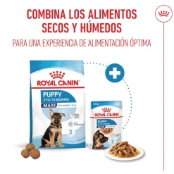 Royal Canin Húmedo Maxi Puppy sobre para perros Hot