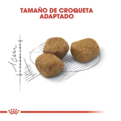 Royal Canin Home Life Indoor 7+ pienso para gatos Best