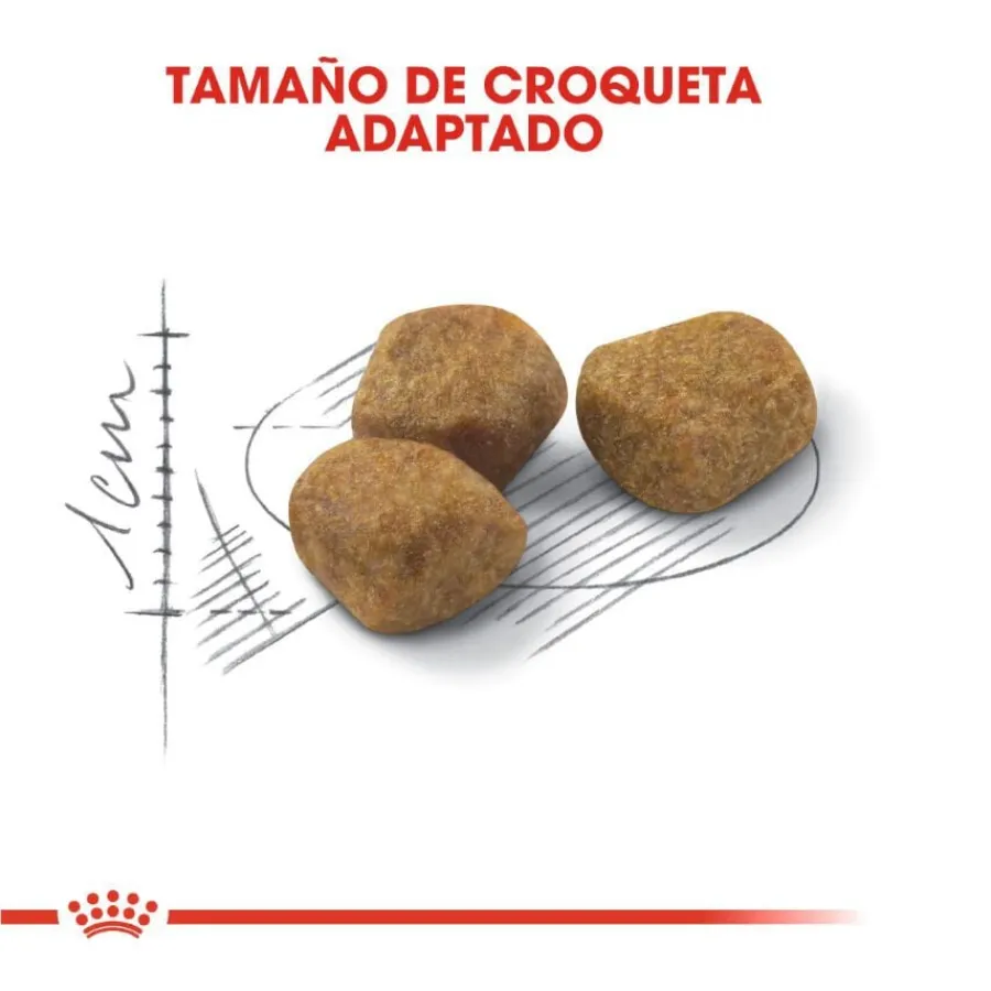 Royal Canin Home Life Indoor 7+ pienso para gatos Best