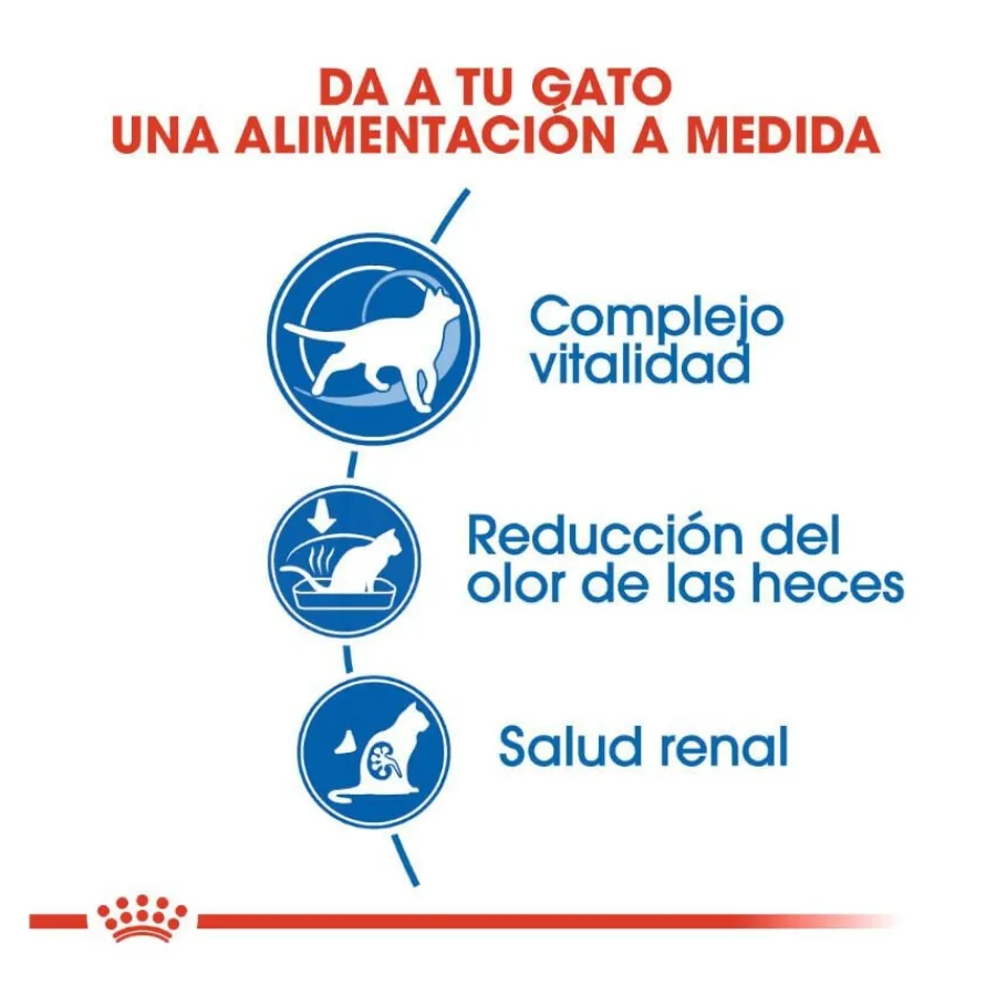 Royal Canin Home Life Indoor 7+ pienso para gatos Best