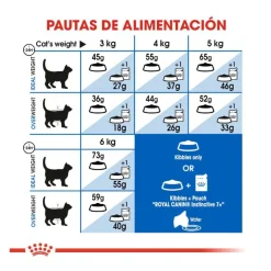 Royal Canin Home Life Indoor 7+ pienso para gatos Best