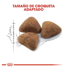 Royal Canin Home Life Indoor 27 pienso para gatos New