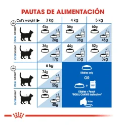 Royal Canin Home Life Indoor 27 pienso para gatos New