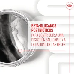 Royal Canin Immunity & Digestion Chews Puppy Suplemento nutricional para perros Best