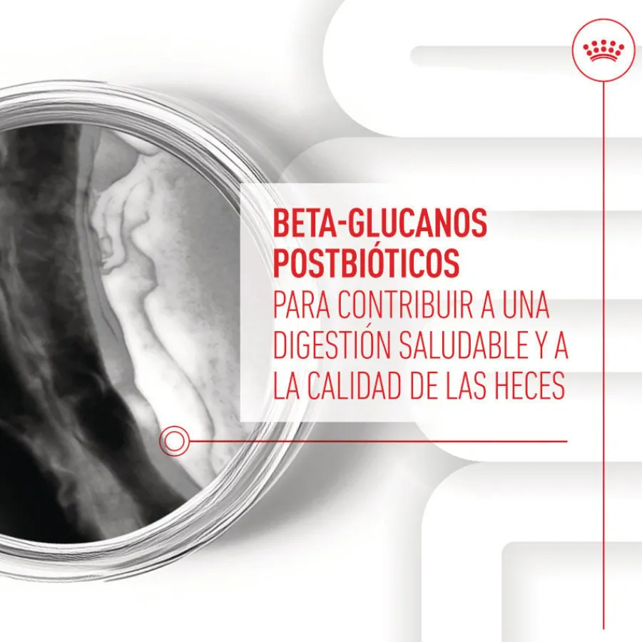 Royal Canin Immunity & Digestion Chews Puppy Suplemento nutricional para perros Best