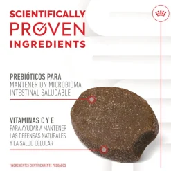 Royal Canin Immunity & Digestion Chews Puppy Suplemento nutricional para perros Best